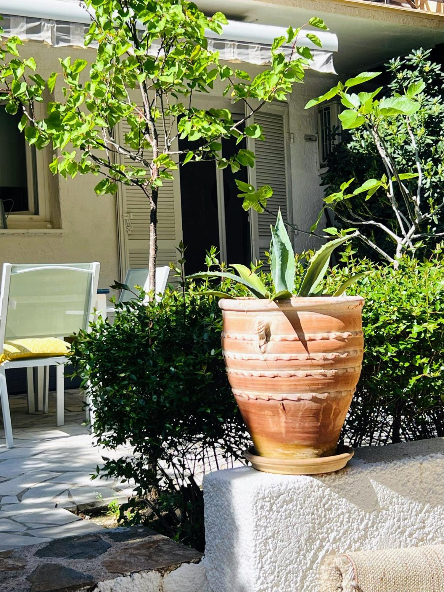 Superbe Appartement Avec Terrasse Jardin Et Parking Prive 圣特罗佩 外观 照片