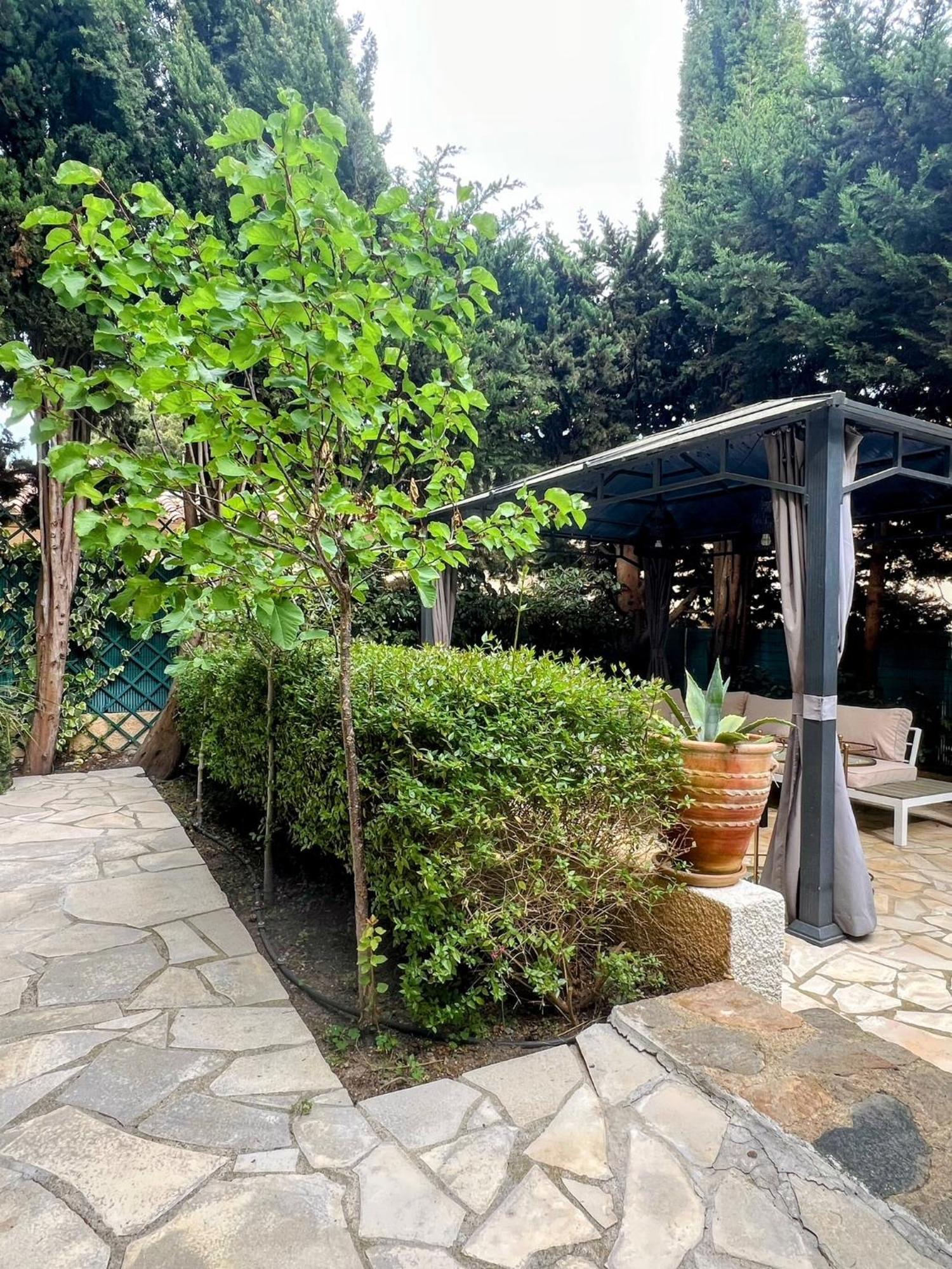 Superbe Appartement Avec Terrasse Jardin Et Parking Prive 圣特罗佩 外观 照片